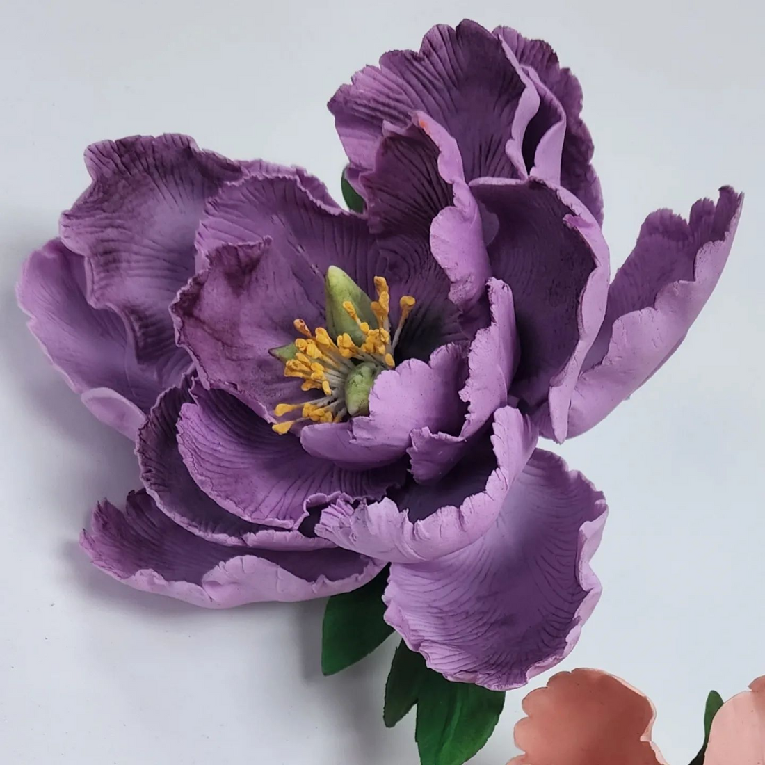 Cake Art Shop Your Cake decorating supplies & Training